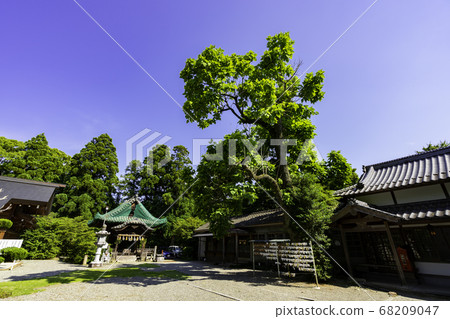 Ozu Castle Town Ozu Shrine Ozu City, Ehime Prefecture Ozu Castle Town Ozu Shrine Ozu City, Ehime Prefecture 68209047