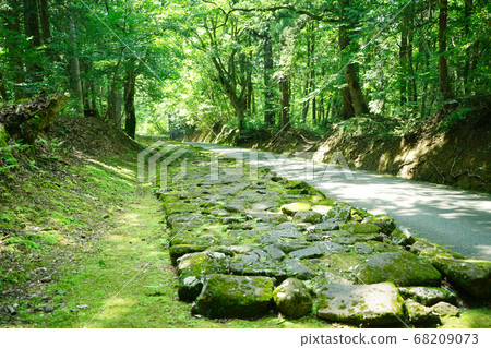 Hiraizumiji Hakusan Shrine Mosque approach road stone pavement early summer 68209073