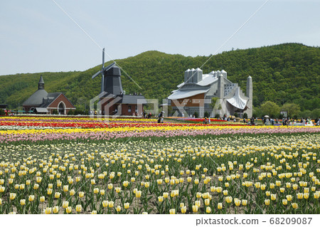 Kamiyuunetsu Tulip Park 68209087