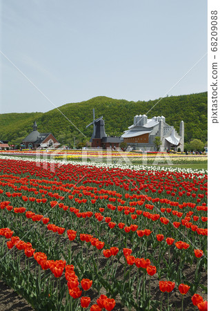 Kamiyuunetsu鬱金香公園 68209088