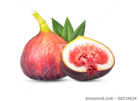 fig on white background fig on white background 68210024