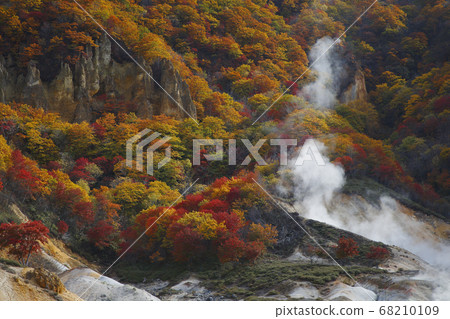 Jigokudani Jigokudani 68210109