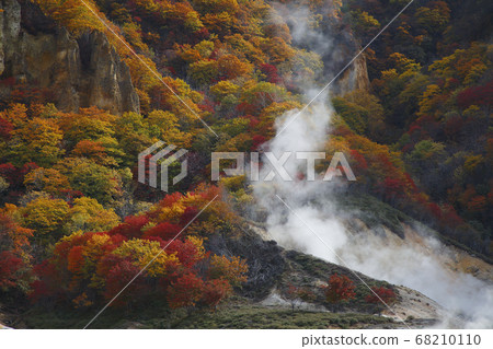 Jigokudani Jigokudani 68210110