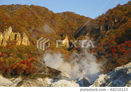 Jigokudani Jigokudani 68210123