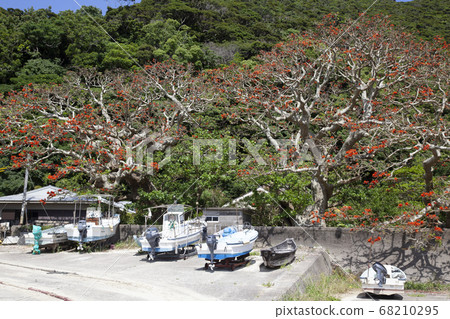 Deigo Deigo 68210295