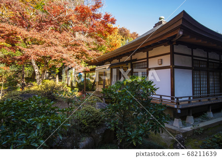 Erinji Temple in autumn with beautiful autumn leaves Erinji Temple in autumn with beautiful autumn leaves 68211639