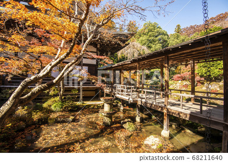 Erinji Temple in autumn with beautiful autumn leaves 68211640