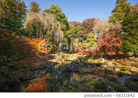 秋天的美麗森林艾琳寺葉 68211642