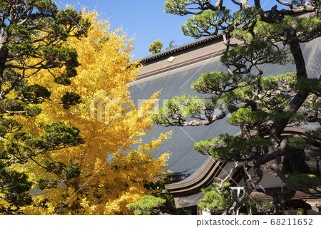 Erinji Temple in autumn with beautiful autumn leaves Erinji Temple in autumn with beautiful autumn leaves 68211652