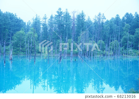 Blue pond Blue pond 68213016