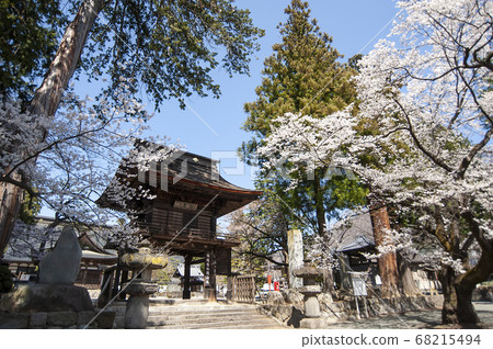 Erinji Temple in spring with cherry blossoms Erinji Temple in spring with cherry blossoms 68215494