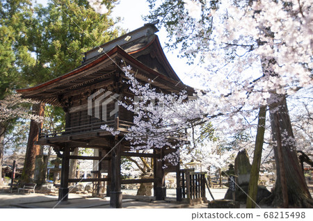 春天的櫻花林寺 68215498