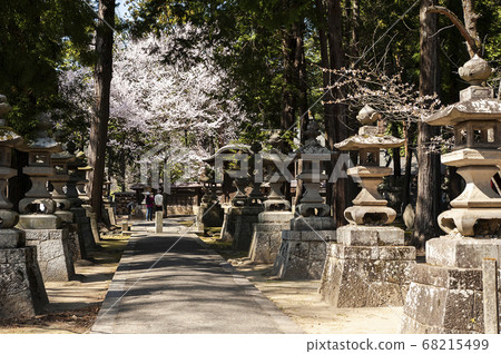 Erinji Temple in spring with cherry blossoms 68215499