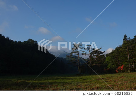 清晨黑澤明沼澤 清晨黑澤明沼澤 68216825