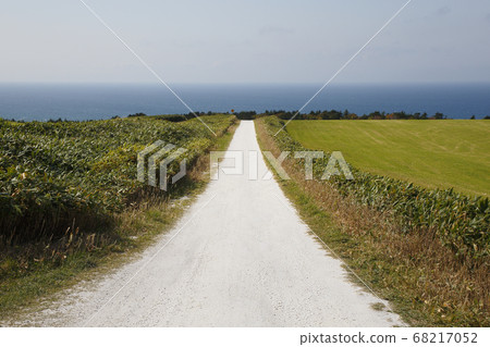 White road White road 68217052