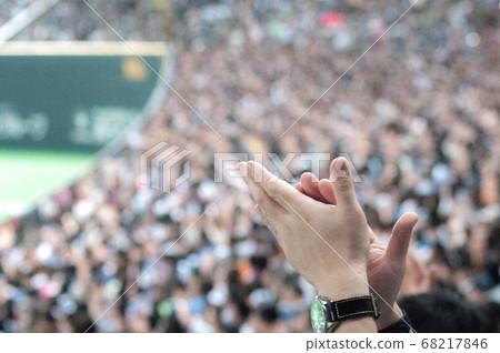 Support at a baseball field 68217846