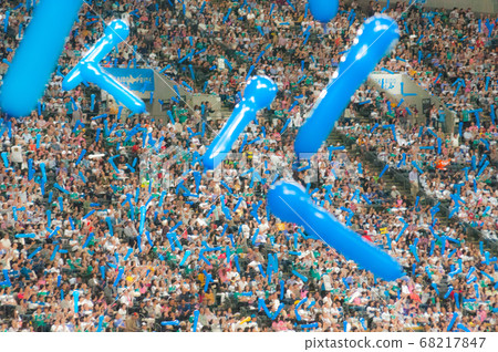 Support at a baseball field 68217847