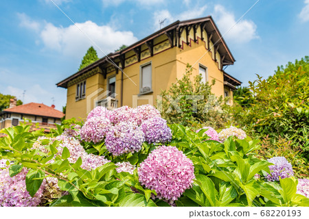 Hydrangea Italy World Heritage Crespi Dadda 68220193