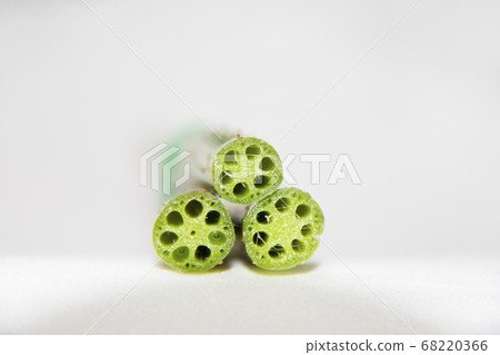 Lotus stalk cross section Lotus stalk cross section 68220366