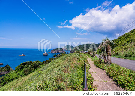 (Shizuoka Prefecture) Minamiizu Yuusuge Park, coastline road 68220467