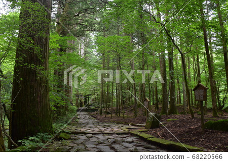 Futarafusami Shrine Futarafusami Shrine 68220566