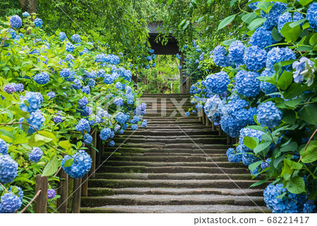 北鎌倉/美津津 68221417