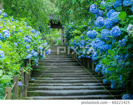 Kita-Kamakura/Meigetsuin Kita-Kamakura/Meigetsuin 68221425