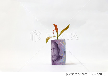 Rolled banknote money ten thousand Indonesia Rupiah and young plant grow up with white background. Rolled banknote money ten thousand Indonesia Rupiah and young plant grow up with white background. 68222095