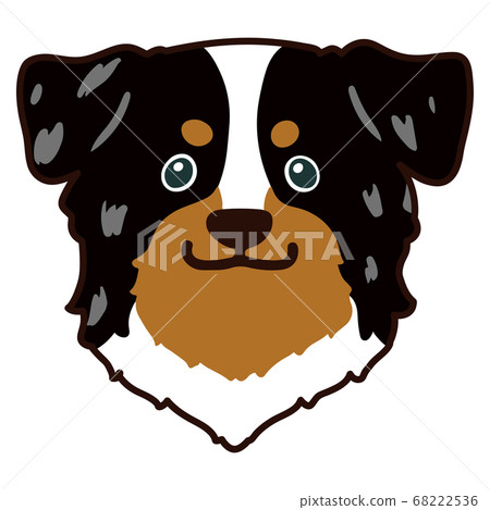 Sit down Australian Shepherd main line available Sit down Australian Shepherd main line available 68222536