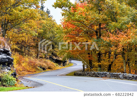 Winding road in a forest in Massachusetts, USA 68222842