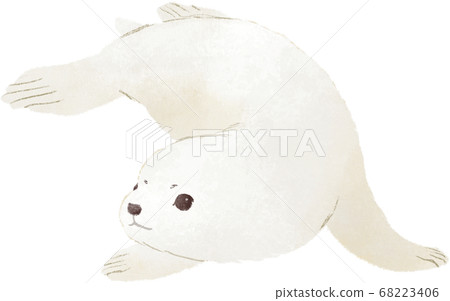 戈馬海豹 68223406
