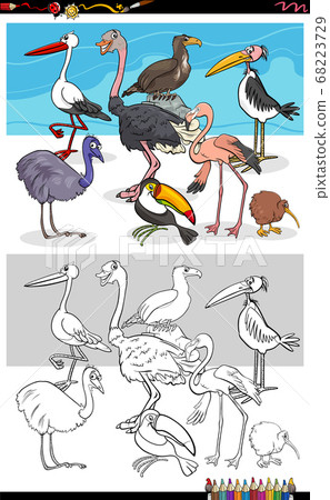 cartoon funny birds group coloring book page cartoon funny birds group coloring book page 68223729
