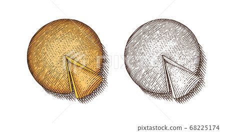 Cheese for market or grocery store. Fresh organic milk. Vector Engraved hand drawn sketch for label Cheese for market or grocery store. Fresh organic milk. Vector Engraved hand drawn sketch for label 68225174