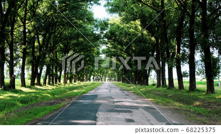 View of the nature of Moldova View of the nature of Moldova 68225375