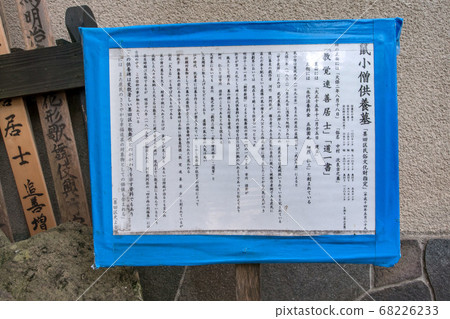 伊科因 伊科因 68226233