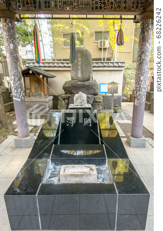 伊科因 68226242
