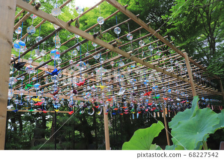 兵庫縣沙洋町Furin Matsuri 68227542