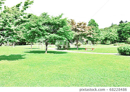 [新鮮綠色]綠色公園[彩色鉛筆] 68228486