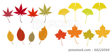 Illustration of various fallen autumn leaves Illustration of various fallen autumn leaves 68228569