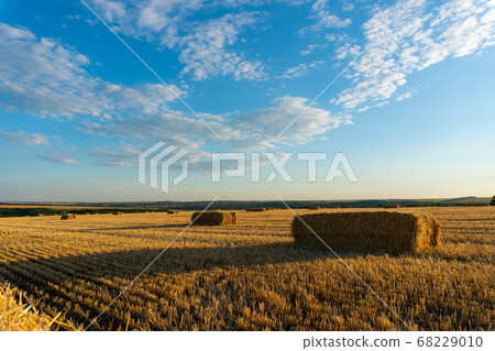 Summer Landscape with Wheat Field At Sunset Summer Landscape with Wheat Field At Sunset 68229010