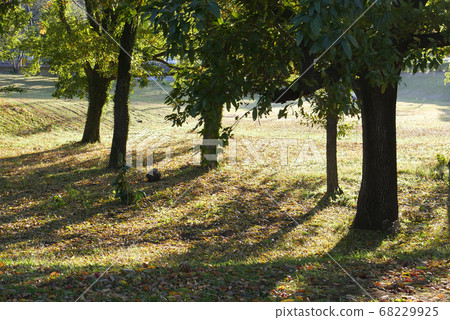 Impressive scenery of the slope 68229925