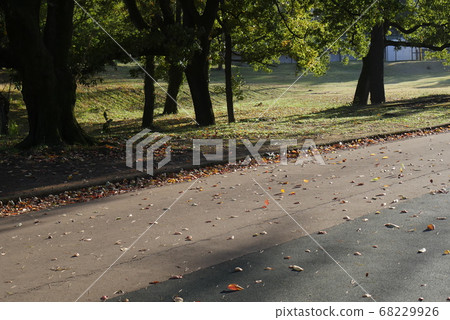 令人印象深刻的山坡風光 68229926