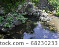 Mirror pond 68230233