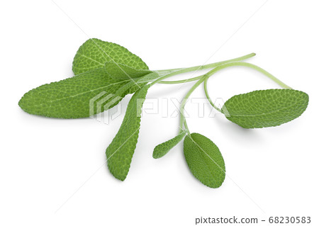 Sage herb leaves isolated on white background with clipping path and full depth of field. Top view. Flat lay Sage herb leaves isolated on white background with clipping path and full depth of field. Top view. Flat lay 68230583