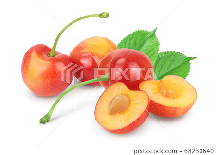 yellow-red sweet cherry isolated on white background with clipping path and full depth of field yellow-red sweet cherry isolated on white background with clipping path and full depth of field 68230640