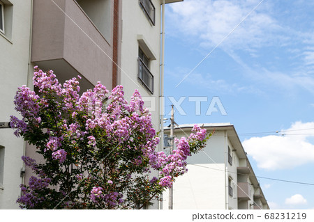 Old housing complex of the 1960s, Funabashi, Chiba, Japan Old housing complex of the 1960s, Funabashi, Chiba, Japan 68231219