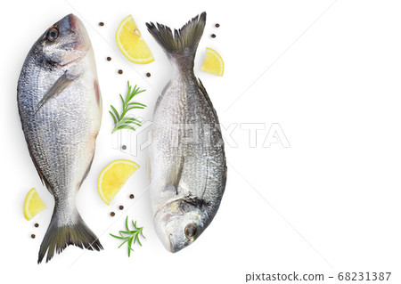 Fish dorado isolated on white background with clipping path and full depth of field. Top view with copy space for your text. Flat lay 68231387