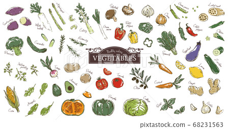 時尚和粗糙的蔬菜素描圖集 68231563