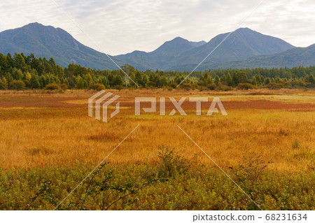 Autumn leaves Nikko Odashirogahara and Nikko mountains Autumn leaves Nikko Odashirogahara and Nikko mountains 68231634