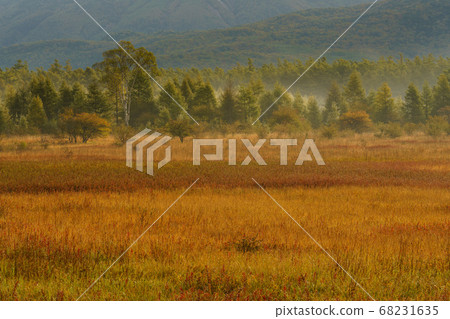 Autumn leaves Nikko Odashirogahara and the lady Autumn leaves Nikko Odashirogahara and the lady 68231635